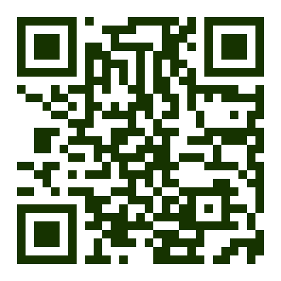Wise QR — Early Registration + Excursion, JPY 16,000