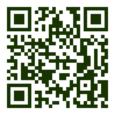 Wise QR — Early Registration + Conference Dinner + Excursion, JPY 26,000